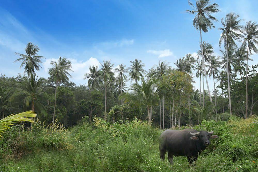Samui Le Reve Hotel Na Mueang Екстериор снимка